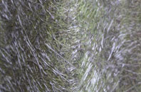 Dreggie fibreglass roof work