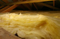 Dreggie pitch roof insulation
