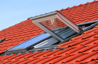 Dreggie roof window