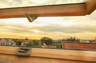 rated Dreggie roof window companies
